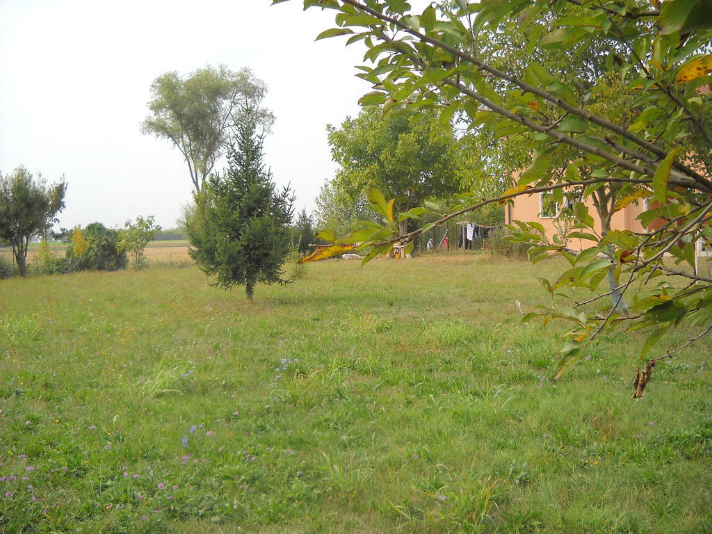 Agriturismo Campi Di Grano 론카데 외부 사진