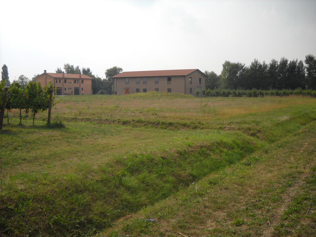 Agriturismo Campi Di Grano 론카데 외부 사진