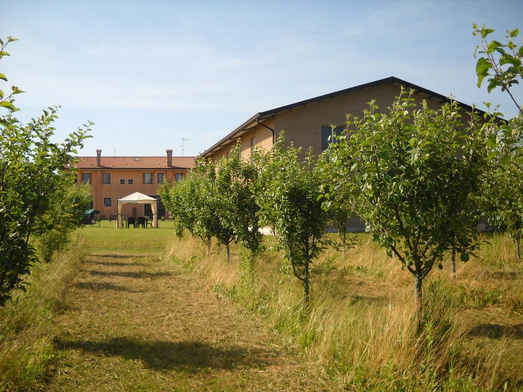 Agriturismo Campi Di Grano 론카데 외부 사진